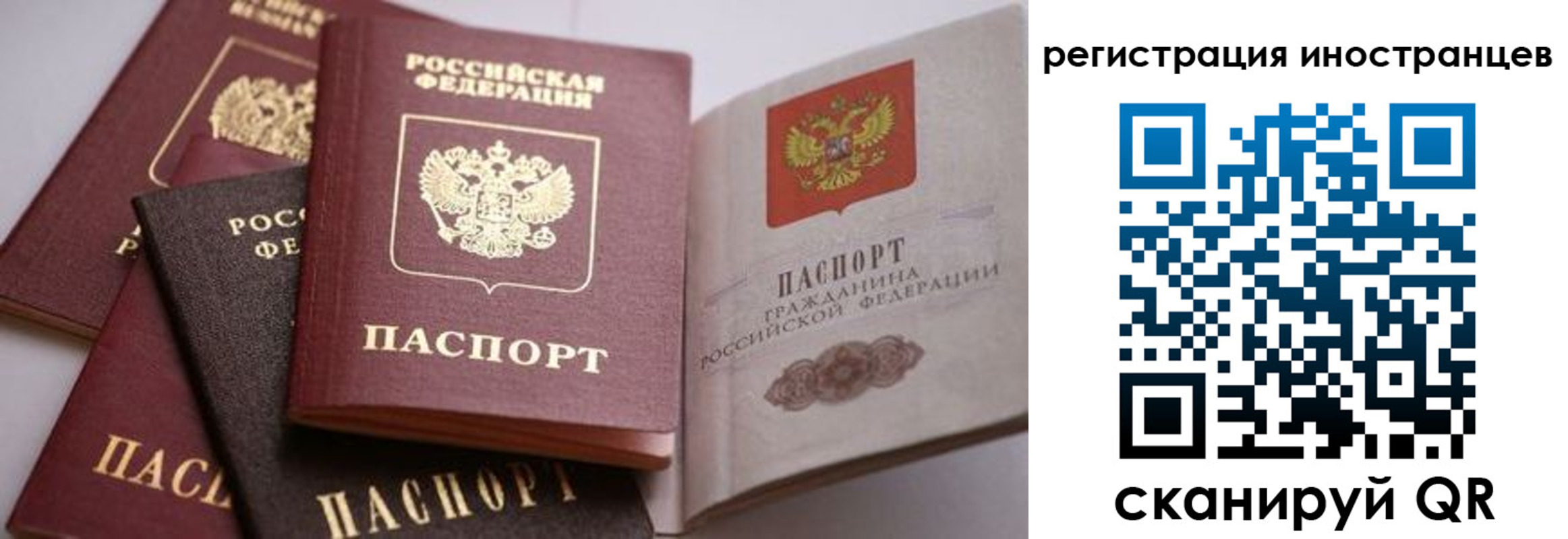 прописка штамп в Дубовке